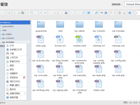 WordPress文件管理插件：Filester-File Manager Pro